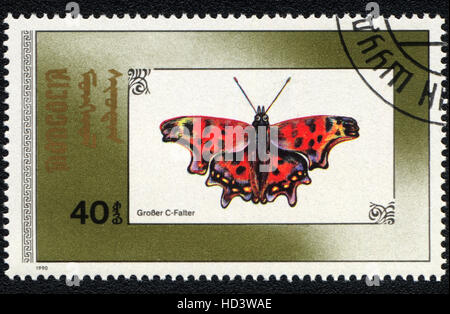 A postage stamp printed in Mongolia shows a butterfly Polygonia c-album (Grober с Falter),  1990 Stock Photo