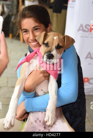 Matt Lauer and family adopt a dog from the ASPCA during the Hampton Classic Horse Show  Featuring: Romy Lauer and Mocha the dog Where: Bridgehampton, New York, United States When: 05 Sep 2016 Stock Photo