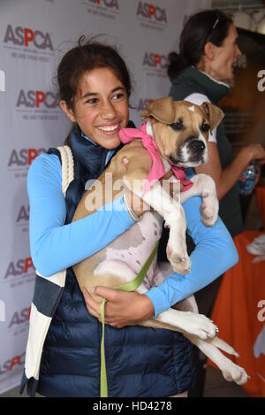 Matt Lauer and family adopt a dog from the ASPCA during the Hampton Classic Horse Show  Featuring: Romy Lauer and Mocha the dog Where: Bridgehampton, New York, United States When: 05 Sep 2016 Stock Photo