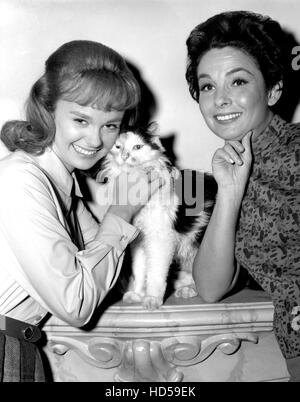 KAREN (aka 90 BRISTOL COURT) Debbie Watson 1964 65 Stock Photo Alamy KAREN (aka 90 BRISTOL COURT) Debbie Watson 1964 65 Stock Photo Alamy