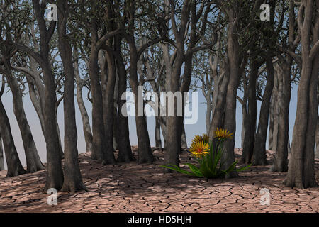 Withered trees on dry ground and a plant as life expectancy. Stock Photo