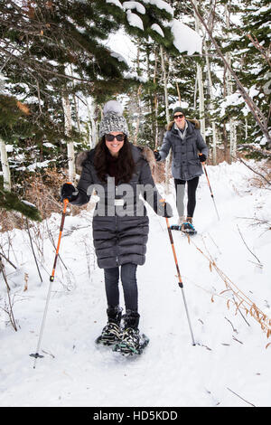 A young happy couple on a snowshoeing hike in Park City, Utah near Deer Valley Resort. The trail winds through aspen trees, evergreens, and brush with Stock Photo