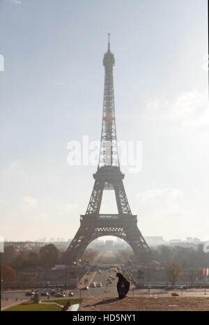 Pigeon sitting on a wall against Eiffel Tower, one of most recognizable symbol of Paris. Stock Photo