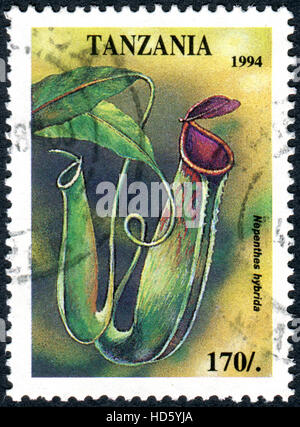 TANZANIA - CIRCA 1994: A stamp printed in Tanzania, shows the tropical flower Nepenthes hybride, circa 1994 Stock Photo