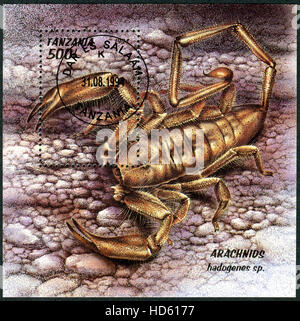 TANZANIA - CIRCA 1994: A stamp (souvenir sheet) printed in Tanzania, shows the Scorpion (Hadogenes sp.), circa 1994 Stock Photo