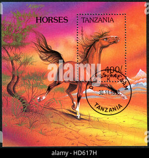 TANZANIA - CIRCA 1993: A stamp (souvenir sheet) printed in Tanzania, shows the Anglo-Norman horse, circa 1993 Stock Photo