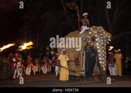 Decorated elephant, Buddhist festival Esala Perahera, Kandy, Central Province, Sri Lanka Stock Photo