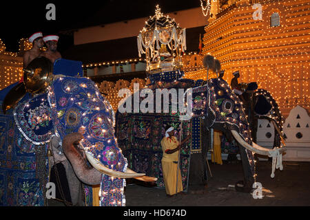 Decorated elephants, Dalada group with sacred elephant Maligawa Raja, carrying Sacred Tooth Relic on back, Buddhist festival Stock Photo
