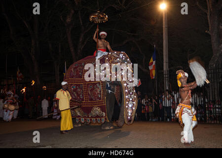 Decorated elephant and dancers, Buddhist festival Esala Perahera, Kandy, Central Province, Sri Lanka Stock Photo