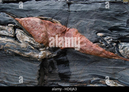 Precambrian metamorphic rock formation in Black Hills area of southwest ...