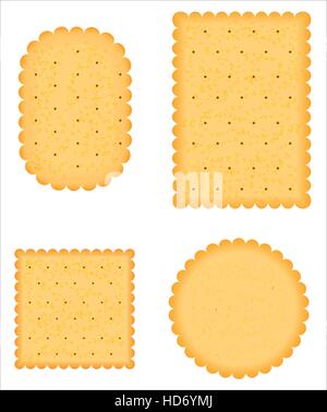 a biscuit vector Stock Vector