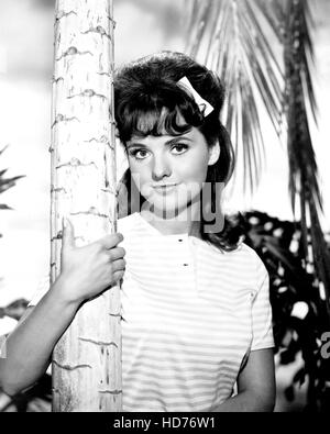 GILLIGAN'S ISLAND, Dawn Wells, 1964-1967 Stock Photo - Alamy