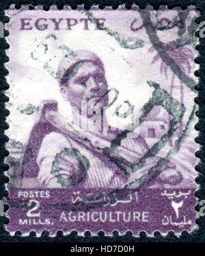 EGYPT - CIRCA 1954: A stamp printed in Egypt, shows a farmer, circa 1954 Stock Photo