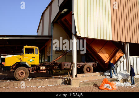 BURKINA FASO , Bobo Dioulasso, Société Burkinabè des Fibres Textiles SOFITEX cotton ginning company unit Bobo III, processing of conventional and gene manipulated Monsanto BT cotton / SOFITEX, Fabrik fuer Baumwollentkernung Werk Bobo III, Verarbeitung von konventioneller und genmanipulierter Monsanto Baumwolle Stock Photo