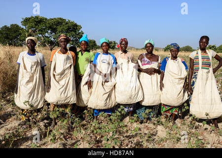 BURKINA FASO, village GOUMSIN near SAPONE, organic and fair trade cotton farming, women small scale farmer group with cotton bags for the harvest Stock Photo