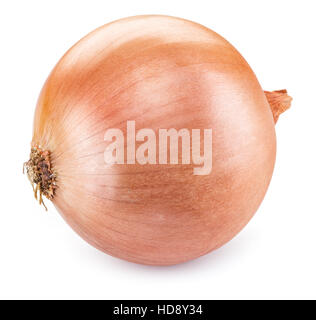 Bulb onion isolated on a white background. Stock Photo