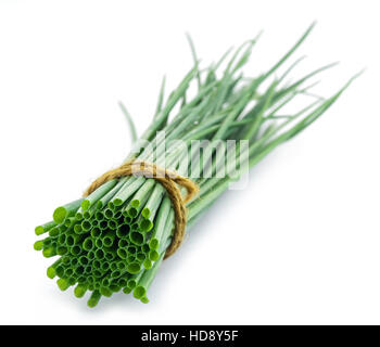 Green onion isolated on the white background Stock Photo