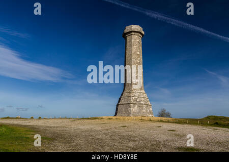 Hardys Monument in memory of commander at the Battle of Trafalgar. Dorchester, Dorset, England, United Kingdom. Stock Photo