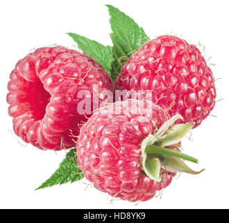 Three raspberries with leaves on the white background. Stock Photo