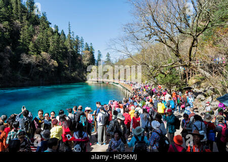 Five-Coloured pool, Crowd on a footbridge, Jiuzhaigou National Park, Sichuan Province, China, Unesco World Heritage Site Stock Photo