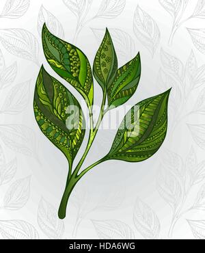 Green tea sprout, decorated with an abstract pattern on a gray background, decorated with stylized leaves. Tea design. Hand drawn. Sketch drawing Stock Vector