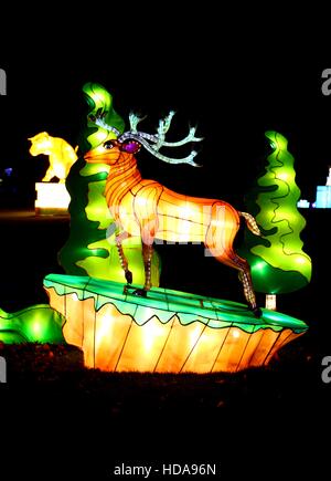 Birmingham's botanical gardens have been transformed in to a wonderland of light. Stock Photo