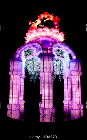 Birmingham's botanical gardens have been transformed in to a wonderland of light. Stock Photo
