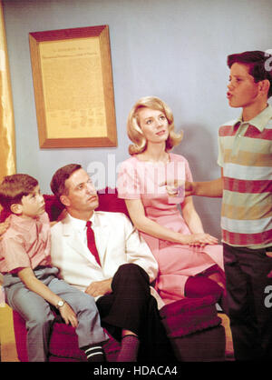 FARMER'S DAUGHTER, Inger Stevens, Mickey Sholdar, 1963-1966, 1963 ...