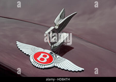 Red Bentley badge and Flying B mascot on front of maroon car Stock Photo