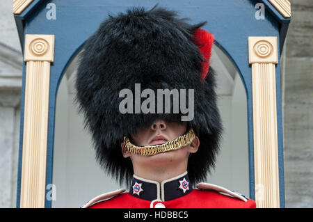 A sentry from the Canadian Ceremonial Guard stands in front of Rideau ...