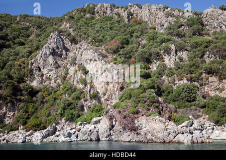 Mountain wall with trees on a sunny day Stock Photo