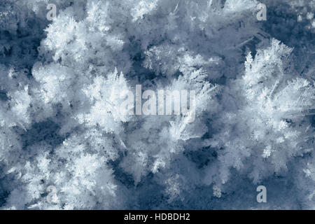 Big snow crystals on the ground, macro shot Stock Photo