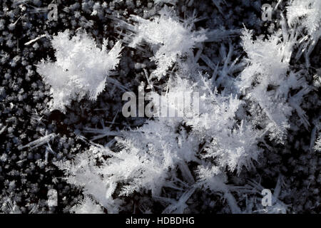 Big snow crystals on the ground, macro shot Stock Photo