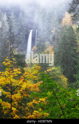 Morning fog drifts by and heavy autumn rains create a double cascade of North Falls at Oregon’s Silver Falls State Park. Stock Photo