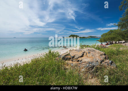 Green tree and grass with rock on beach of clear blue sea with background of cloudy blue sky. Stock Photo