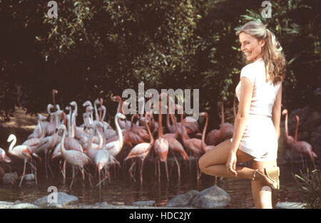 THREE'S COMPANY, Priscilla Barnes, 1977-84 Stock Photo - Alamy