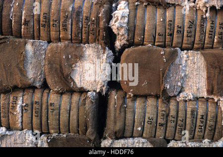 INDIA, Madhya Pradesh, Kasrawad, cotton ginning factory, cotton bales wrapped in jute fabric Stock Photo