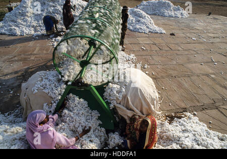 INDIA, Madhya Pradesh, Kasrawad, cotton ginning factory, pre-cleaning Stock Photo