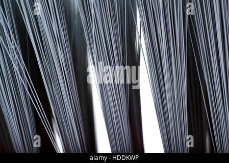 Cleaning brush bristle hair over isolated white background Stock Photo