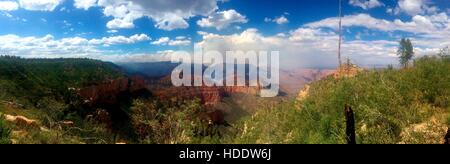 Smoke billows from the Fuller Fire on the North Rim of the Grand Canyon National Park June 27, 2016 near Point Imperial, Arizona. The fire was started by a lightning strike and consumed 14,385 acres. Stock Photo