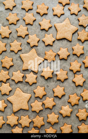 Baked star-shaped gingerbread cookies powdered with sugar for Christmas on  baking parchment paper near pine cones and twigs, dried orange slices and  cinnamon sticks. Flat lay 27025793 Stock Photo at Vecteezy