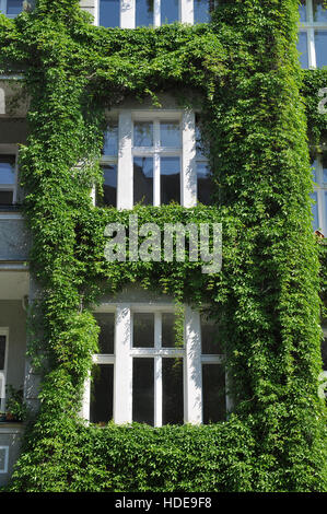 Altbau, Fassadenbegruenung, Rosenheimer Strasse, Schoeneberg, Berlin, Deutschland Stock Photo