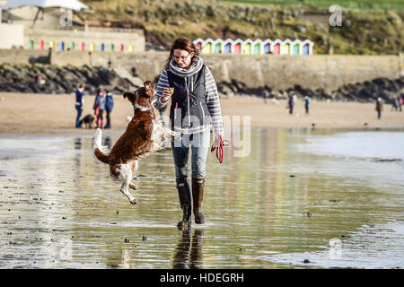 Nia Jones and her Welsh Springer Rio, from Cardiff, enjoy playing on the beach and in the sea at Barry Island, Vale of Glamorgan, Wales, where clear skies and bright sunshine dominate the South Wales coastline as December temperatures continue to be mild. Stock Photo