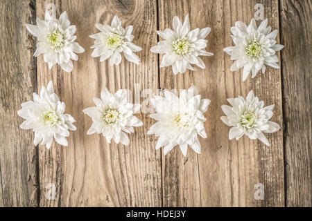 Composition of white flowers on the wooden background Stock Photo