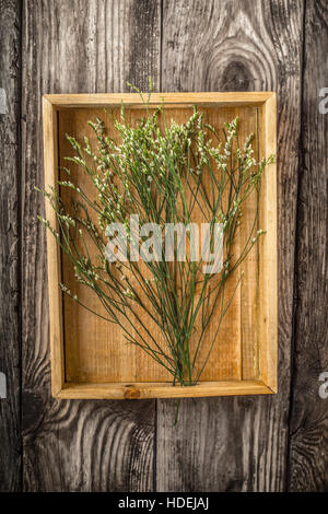 Wooden tray with flowers vertical Stock Photo