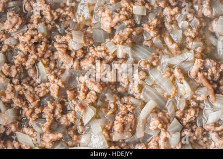 Fried minced meat with onion background close-up Stock Photo