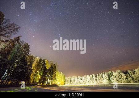 A clear night showing stars. Illuminated forest near frozen lake in Estonia. Stock Photo