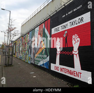 Free Tony Taylor - End Internment - International Peace Wall,Cupar Way,West Belfast , Northern Ireland, UK Stock Photo