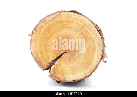 Pine logs on white background. Studio photo. Split wood. Oak tree for winter time heating. Cross section of tree trunk.Firewood ready for burning Stock Photo