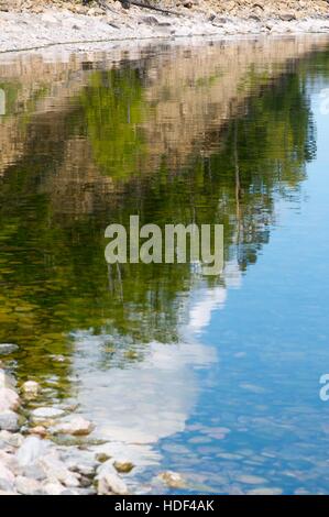 Silhouettes of trees, reflected in water Stock Photo
